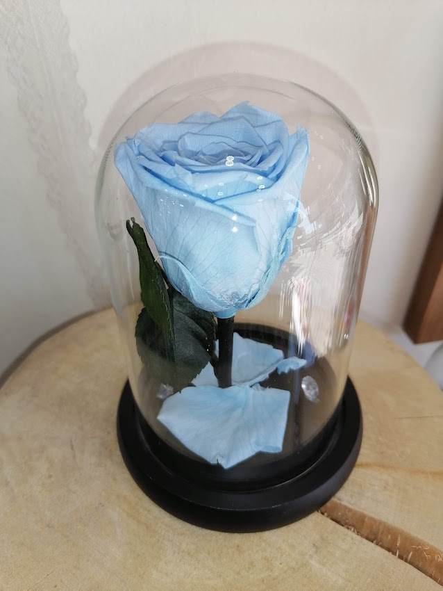 Τριαντάφυλλο Γαλάζιο